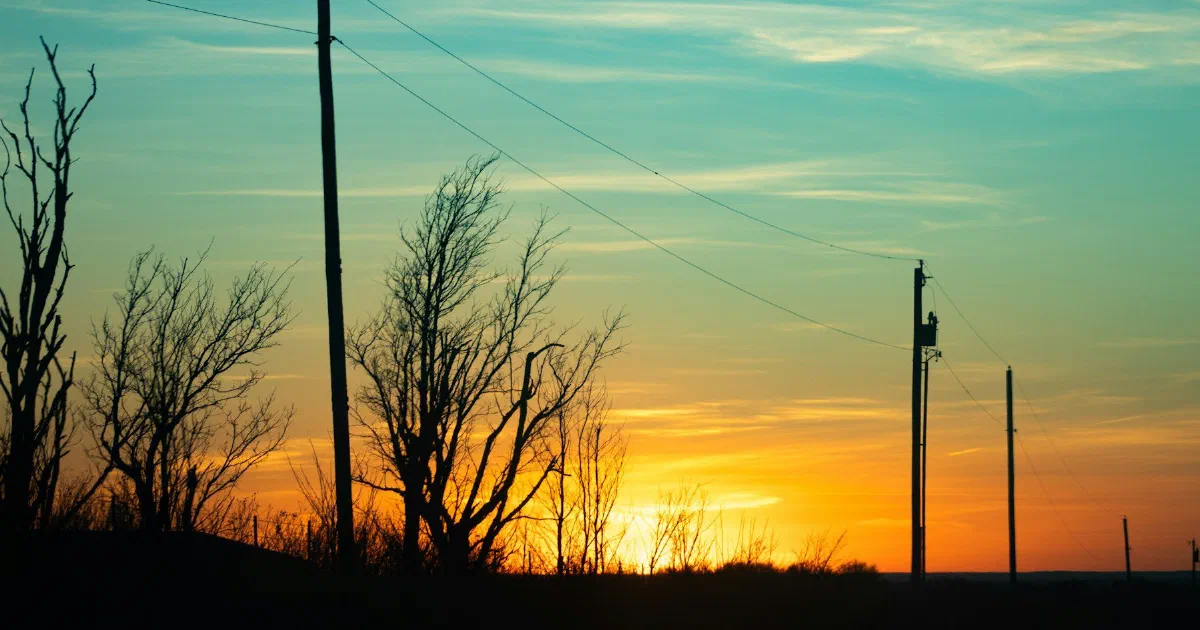 Utility poles and bare trees silhouetted against an orange and teal sunset.