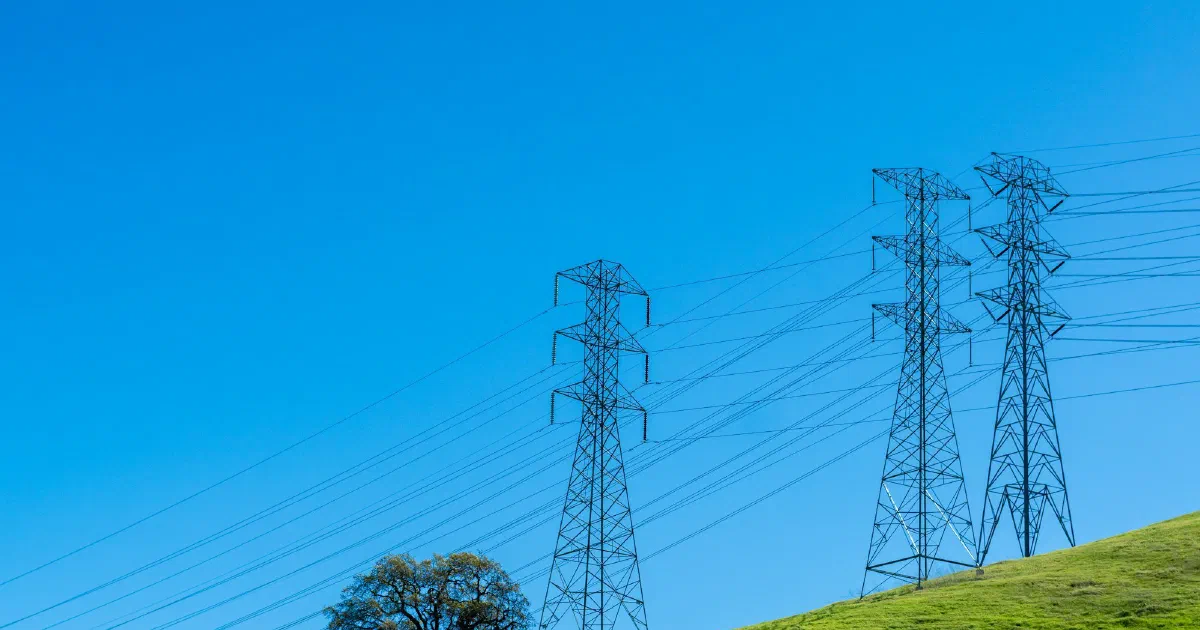 Three transmission towers and a single tree on a green hillside under a clear blue sky.