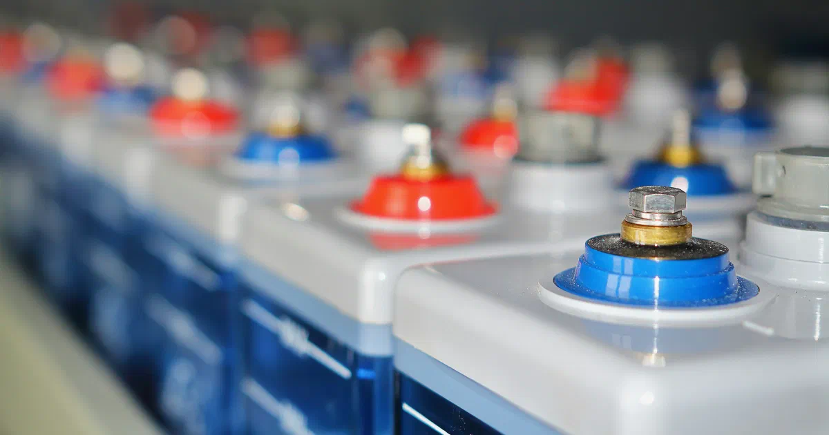 Close-up of a row of large batteries with red and blue terminals.