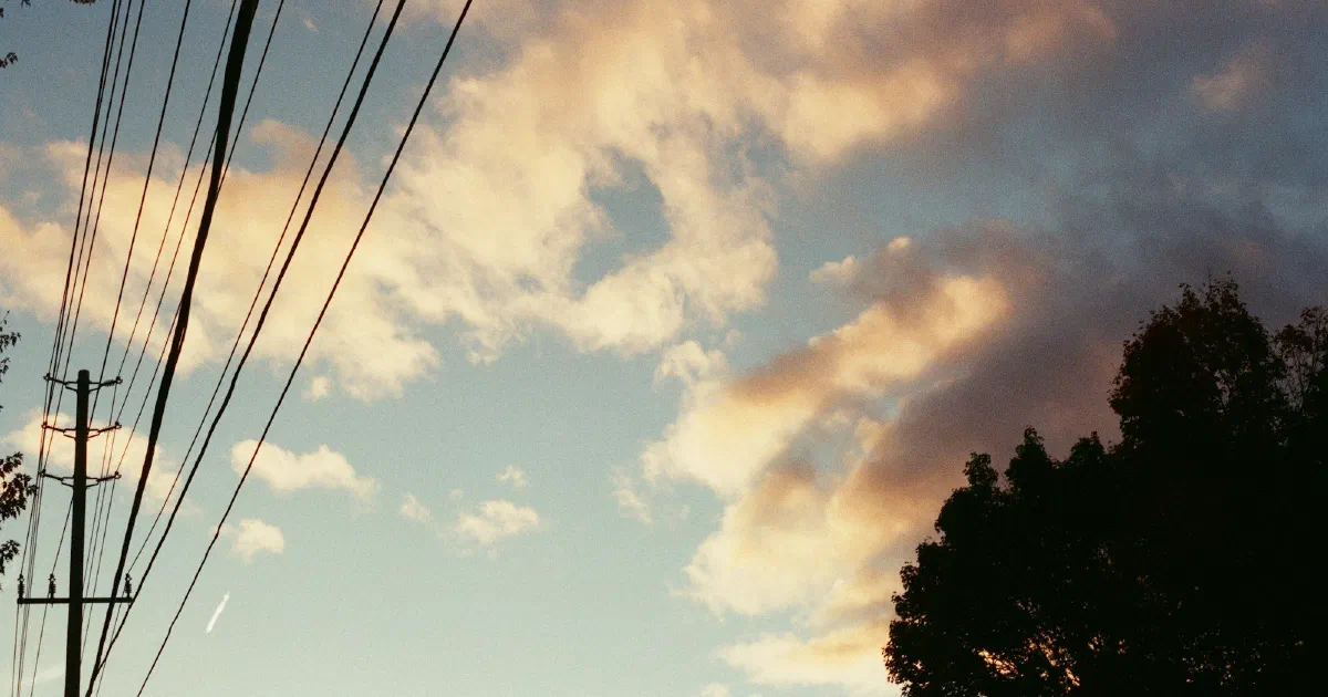 Utility pole and power lines beside trees with sunlit clouds overhead.