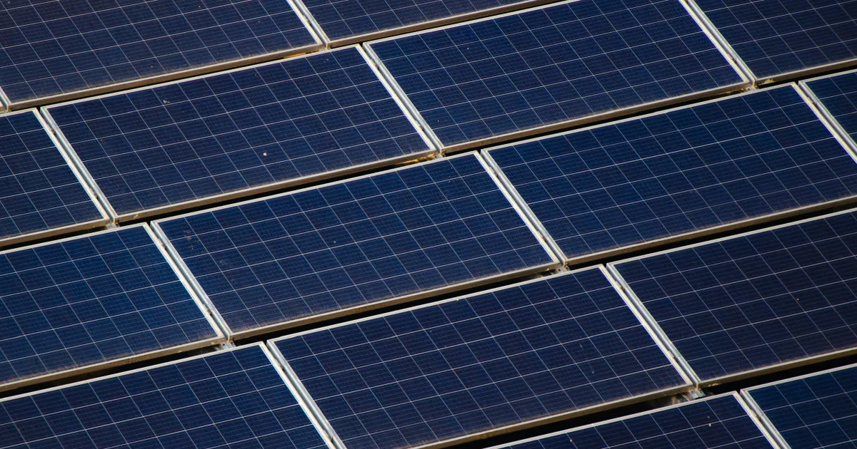Close-up of rows of blue solar panels in sunlight.