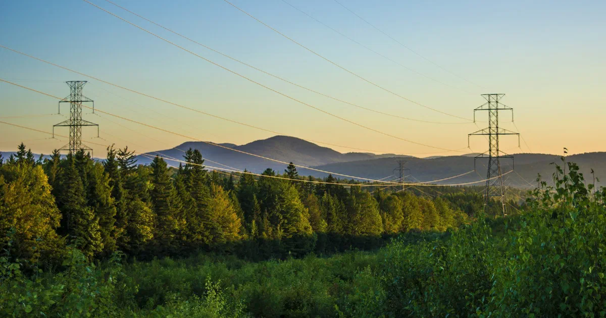 Transmission towers rising above a forested valley with hills in the distance.